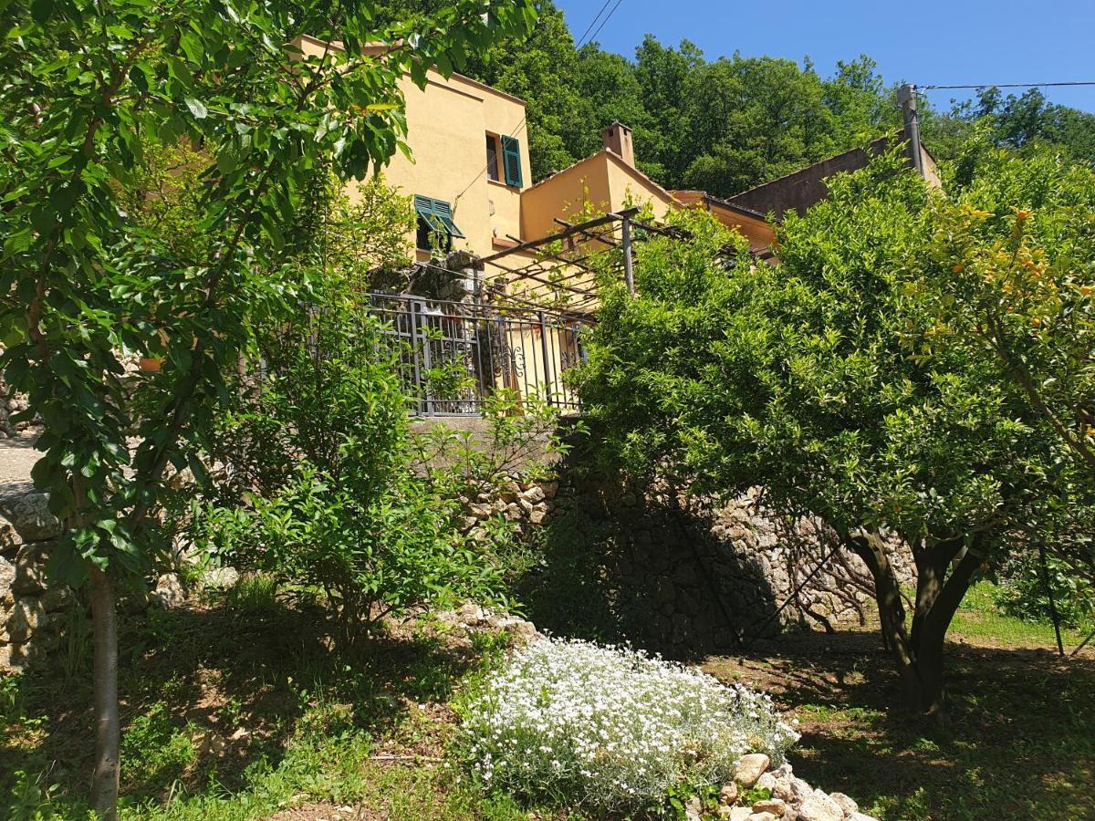 Agriturismo Alveare Финале Лигуре Экстерьер фото